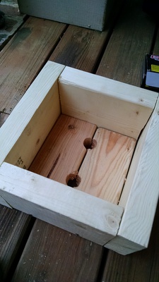 Bonsai training box