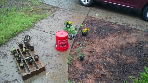 Garden bed, ready for planting