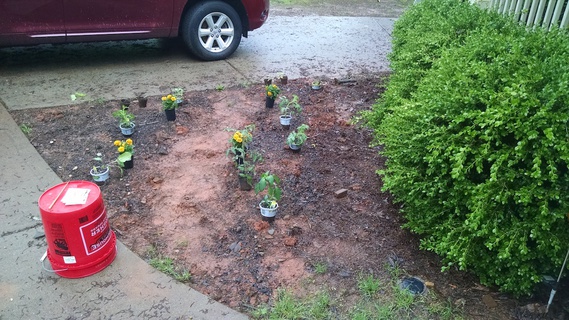 Garden bed with plants laid out