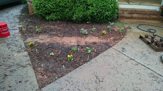 Garden bed with everything planted