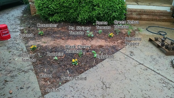 Garden bed with plant names