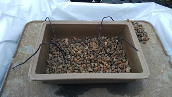 Thin layer of gravel in pot