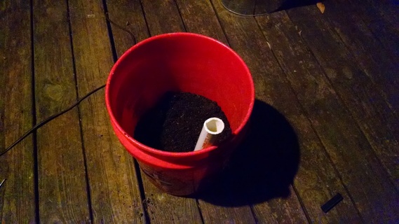 Adding potting soil to Global Bucket