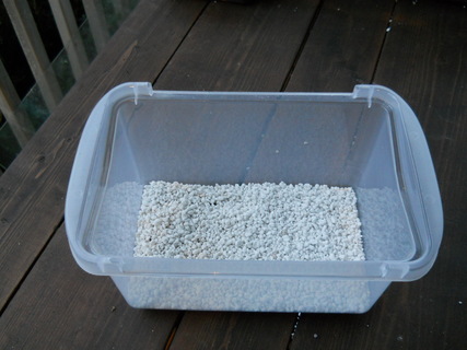 Perlite in seed-starting container
