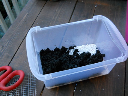 Adding soil to seed-starting container