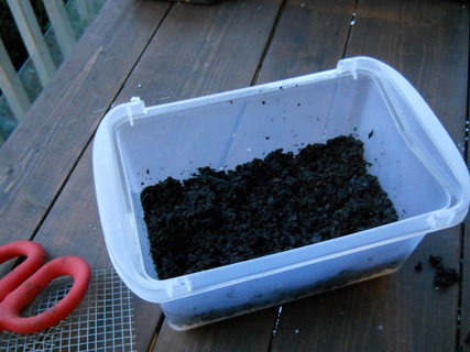 Soil in seed-starting container