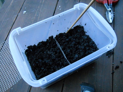 Poking holes in soil for starting seeds