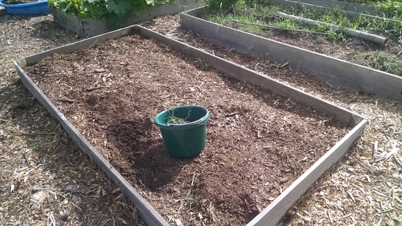 Planter box after weeding